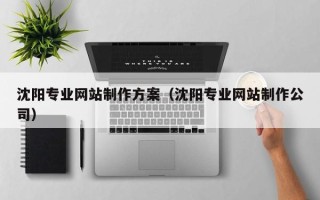 孟州沈阳专业网站制作方案（沈阳专业网站制作公司）